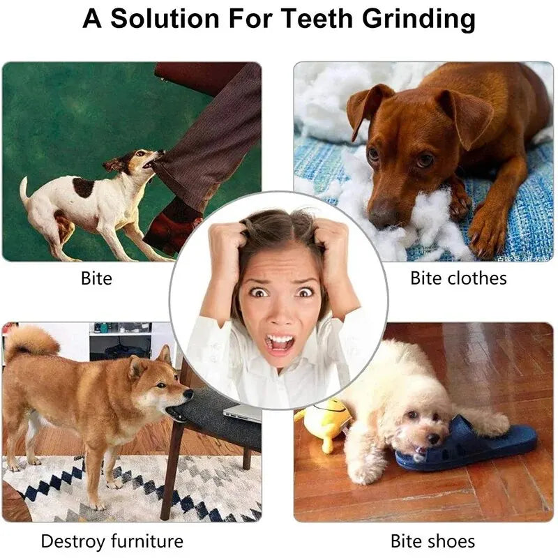 Dog Toy Ball, Nontoxic Bite Resistant Toy Ball