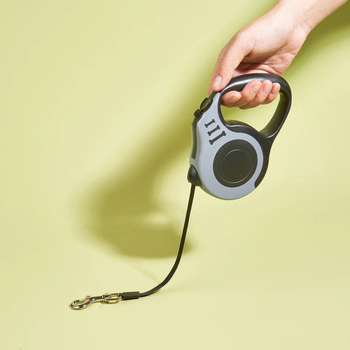 3m 5m Dog Leash for Small Dogs Cats Automatic Retractable Durable Nylon Lead
