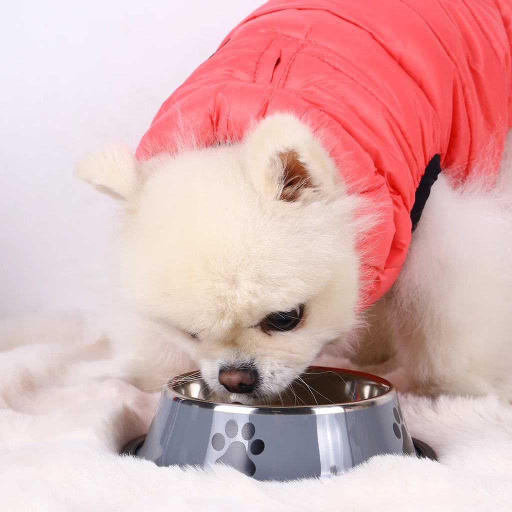 Stainless Steel Pet Bowl Cat Dog Food Bowl