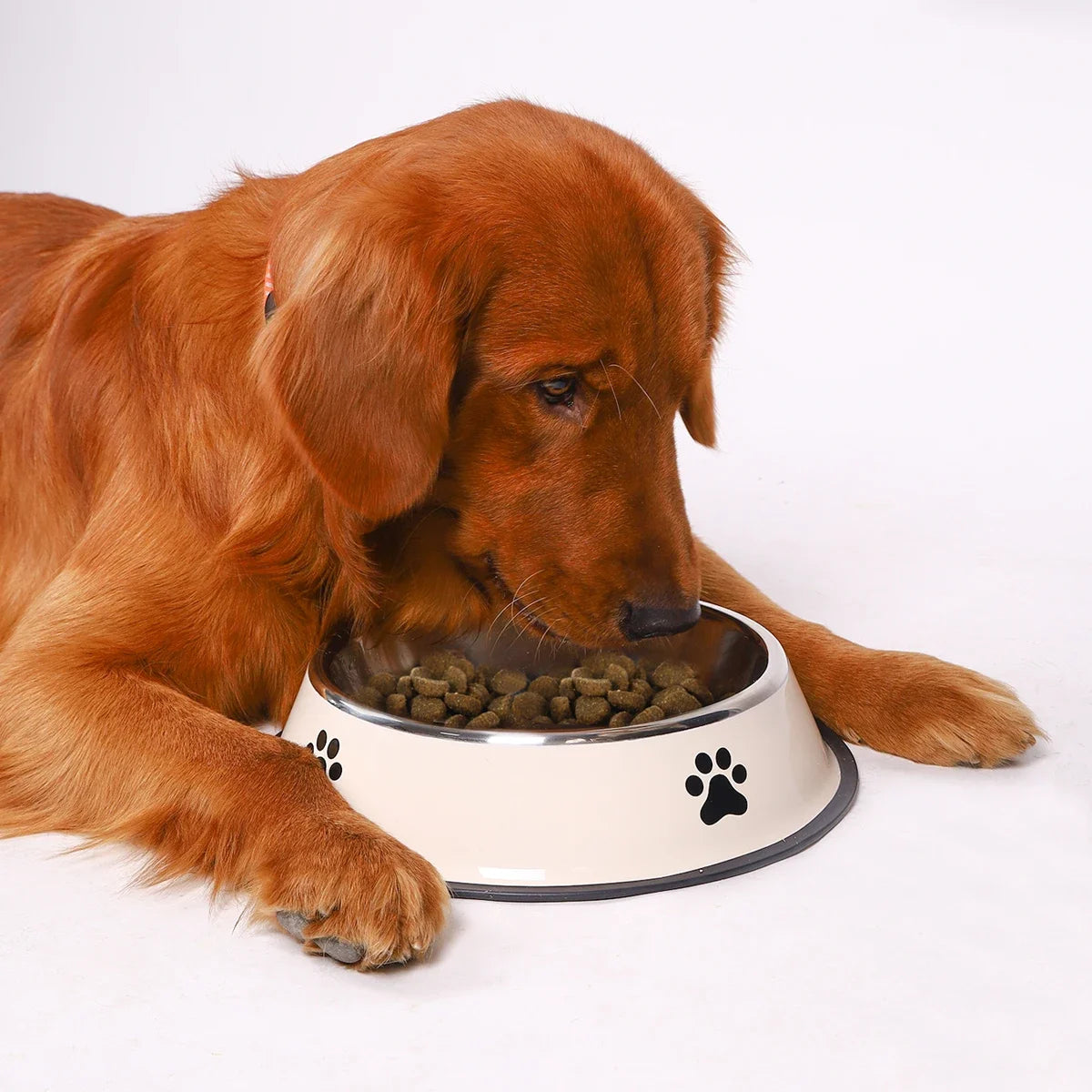 Stainless Steel Pet Bowl Cat Dog Food Bowl