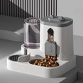 Cat Bowl Automatic Feeder with Spill Proof Design