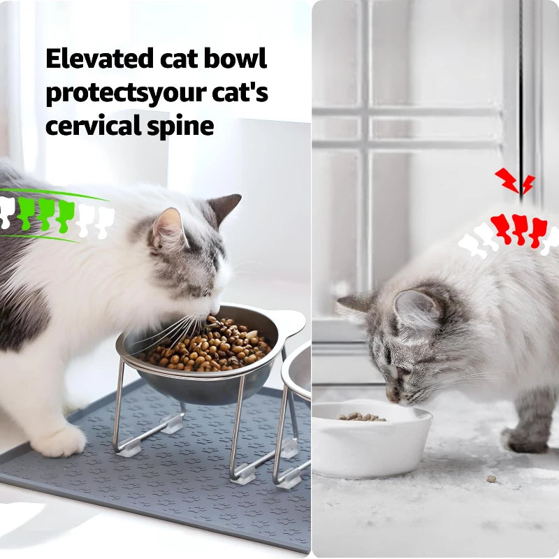 Raised Stainless Steel Cat Bowl with 15° Elevated Design Tilted Neck Guard