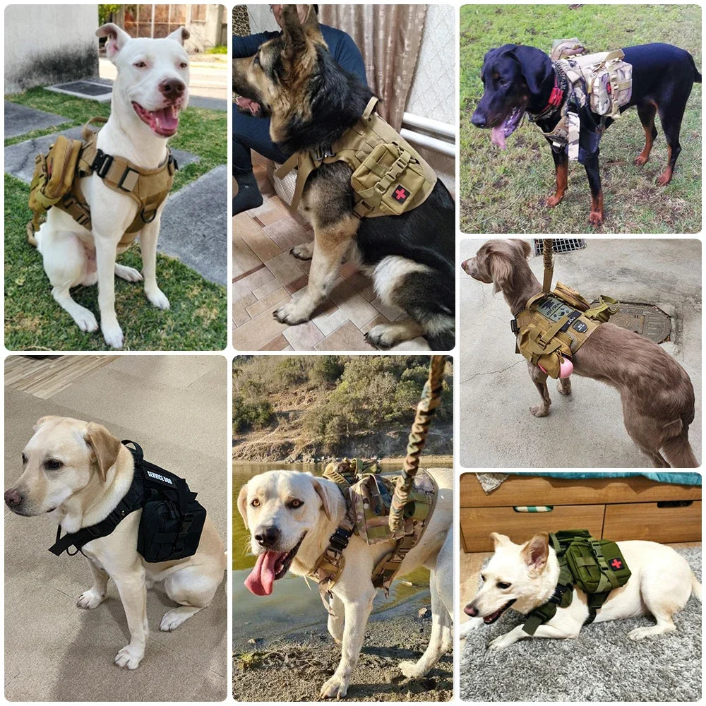 Military Harness for Large Dogs Collar Leash Molle Pouch