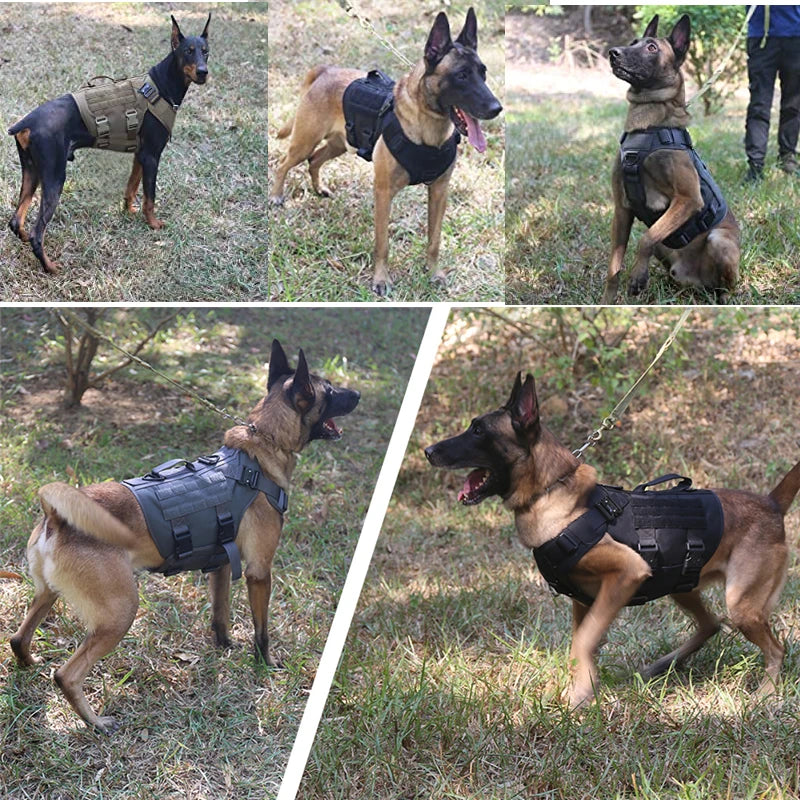 Tactical Military Vest Tactical Training Dog Harness and Leash Set For All Breeds Dogs