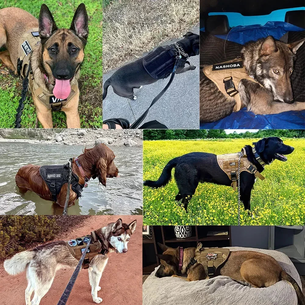 Tactical Dog Harness Leash Collar Molle Pouche